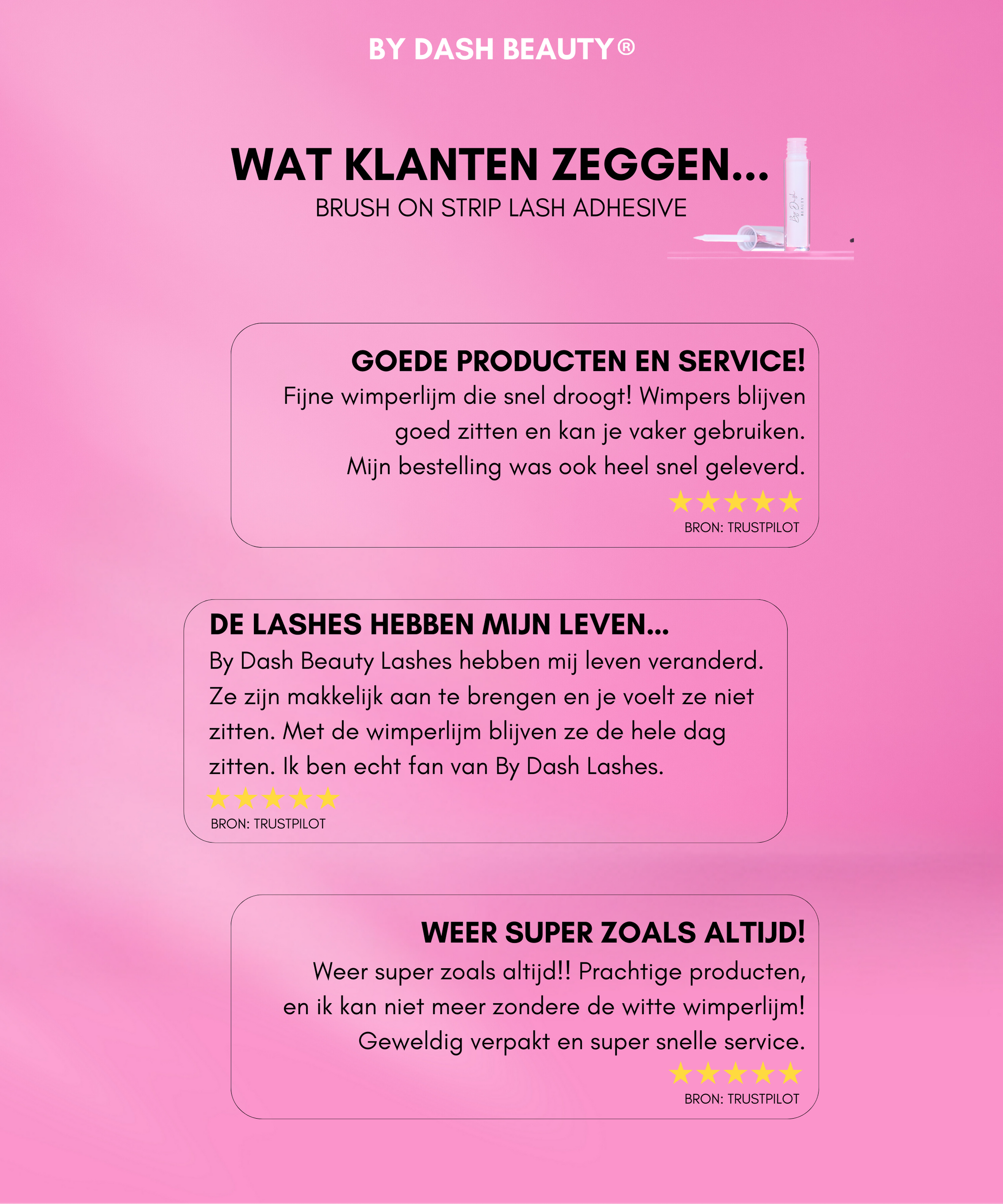 Lash Must Have Bundel