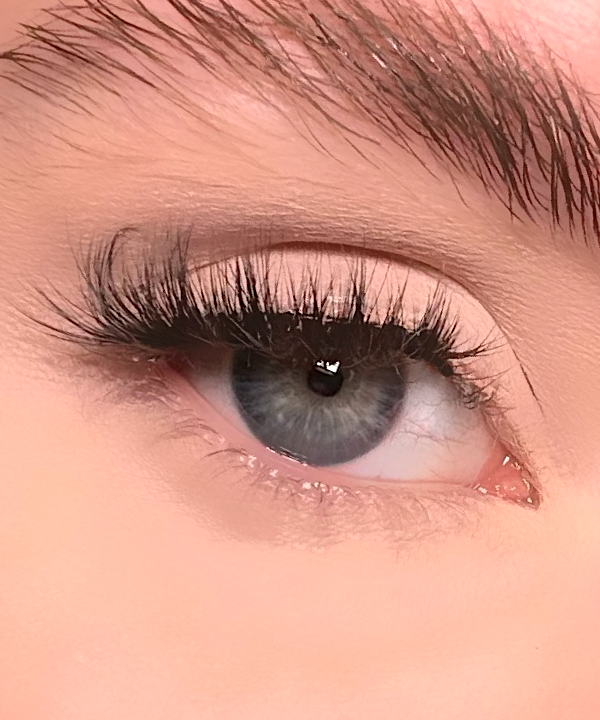 Elegance Half Lashes Starter Kit