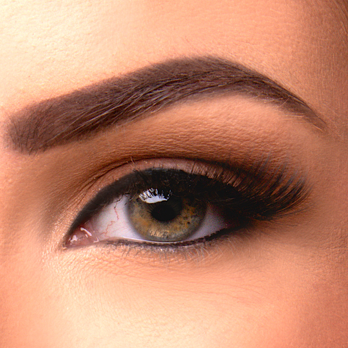 Elegance Half Lashes Starter Kit