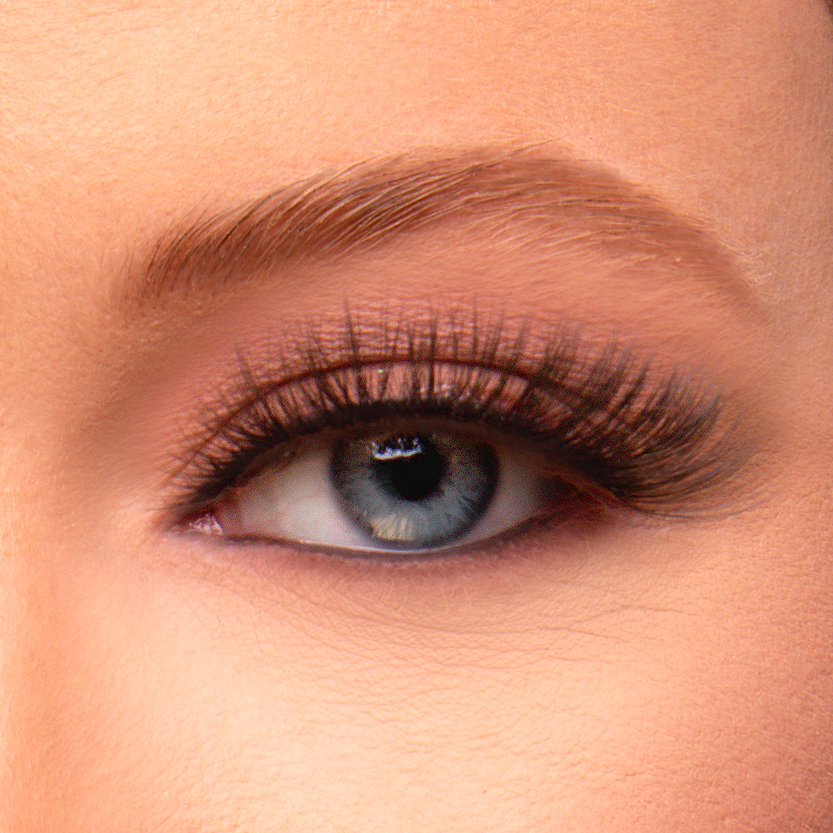 Lash Queen Starter Kit