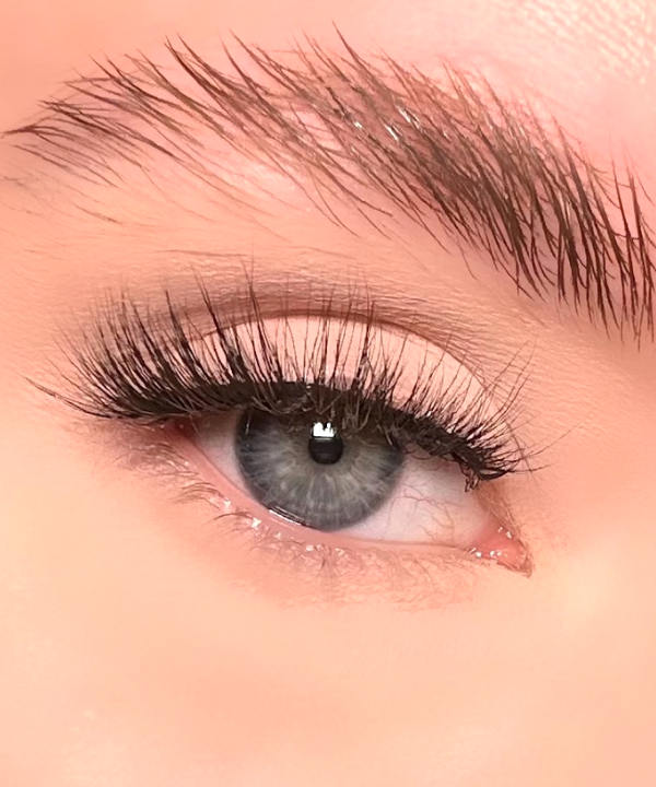 Seduction 2.5 cm Half Lashes Starter Kit