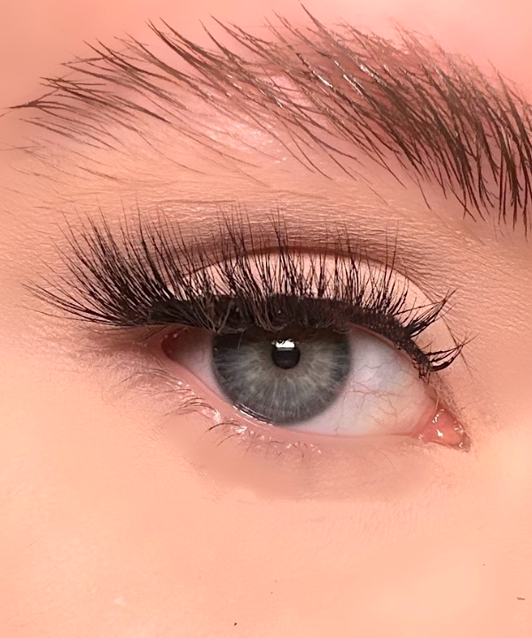 Seduction Half Lashes Starter Kit